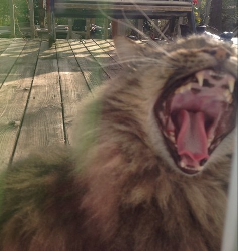 yabs96's profile picture. 