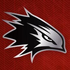 VCNightHawks Profile Picture