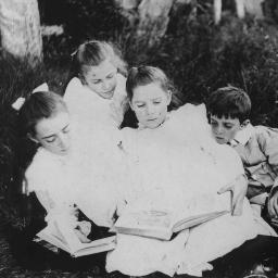 CBRLibraryTribe Profile Picture