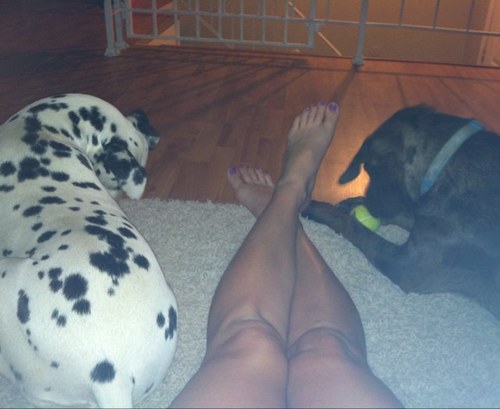 Heyyolady's profile picture. I live in the south , love my family and my dogs . #Blessed ☀️