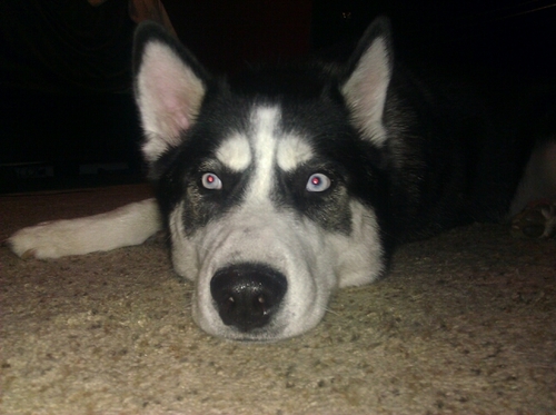 Elise1215's profile picture. 