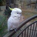 estrada - @estrada_eliud - Twitter