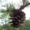 DougKent - @DougKent - Twitter