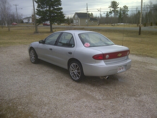 martel_martel's profile picture. 