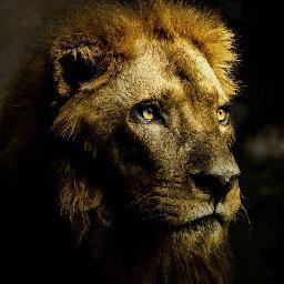 The lion does not concern himself with the opinions of sheep.