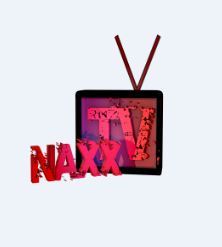 La passion des jeux, de l'informatique par un fan pour les fans, c'est chez NaxxTv