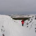 Lesley Hansen - @LesleyHansen - Twitter