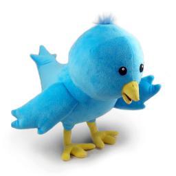follow follow follow I dont spam all day with tweets either!