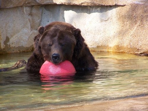 TLNMeyer's profile picture. 