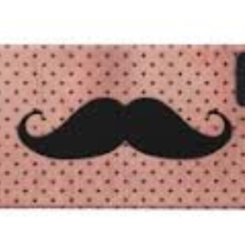 De leukste, grappigste en de mooiste hoesjes. Non-stop tweets. Begin on 13-1-13