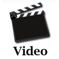 A season for all crazy comedy videos and some funny liners in between.