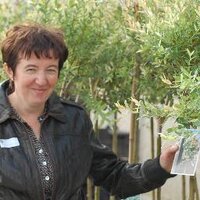 Ingrid Colman (@ingrid_colman) 's Twitter Profile