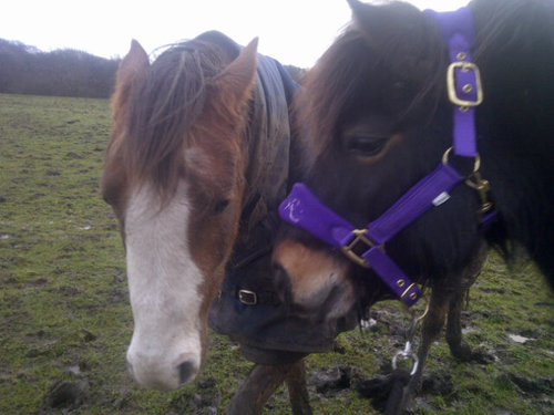 armpittx's profile picture. 