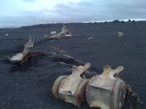 jaytufte's profile picture. 