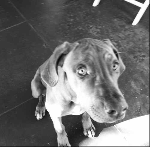 bryanantolik's profile picture. 