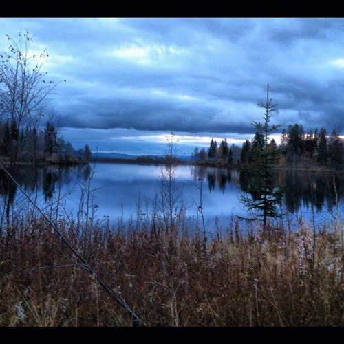 broellensiv's profile picture. 