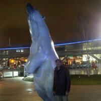 Adam Binder (@adambinder2) 's Twitter Profile