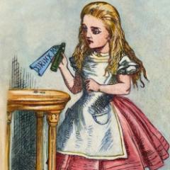 SenkaA's profile picture. 