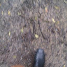 darnoi's profile picture. 