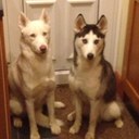 amanda brodie - @abrodie14 - Twitter