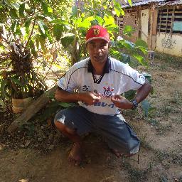 artscarlos's profile picture. sintonia positive vibration