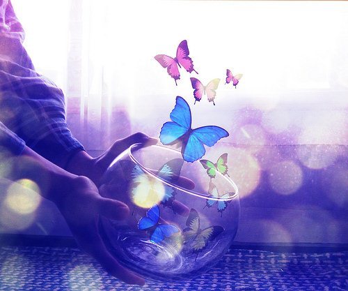 maaalikm's profile picture. لاإله إلاالله محمد رسول الله