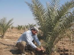 sasaali46's profile picture. 