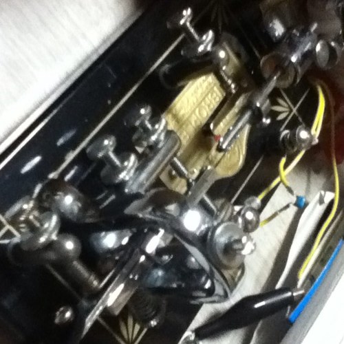 Red_Sh_Bird's profile picture. 