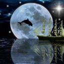 Prachi Agrawal - @agrawalprachi98 - Twitter