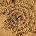 Sara Topping - @peconicbodywrks - Twitter