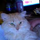 Donna Pink - @Donnalorea - Twitter