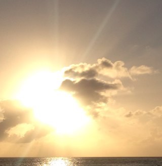 junie117's profile picture. 