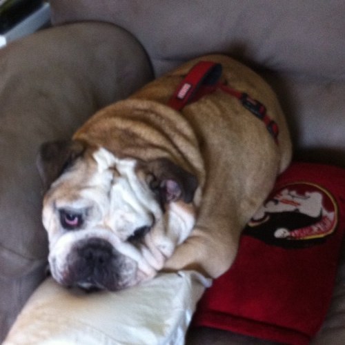Director of Technical Support at SMT! Huge Florida State and Carolina Hurricanes fan!