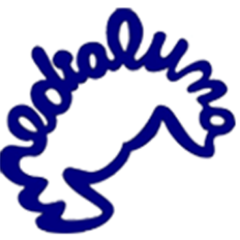 CafeMedialuna's profile picture. A pie de playa, tu cafetería con bollería elaborada artesanalmente. Especialidad en empanadas, pizzas, repostería argentina y productos latinos.