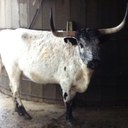 Dustin Dailey - @ddailey0803 - Twitter