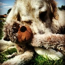 Tamara Jansen Holleb - @TamaraJaHo - Twitter