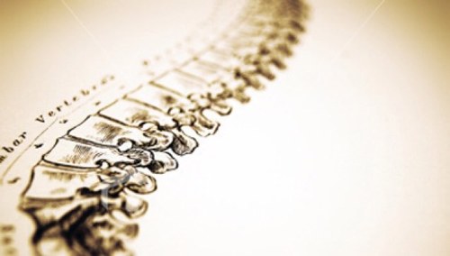 OsteoNetwork's profile picture. You follow, we share! Wisdom and Information! Feel free to tweet and share your thoughts!