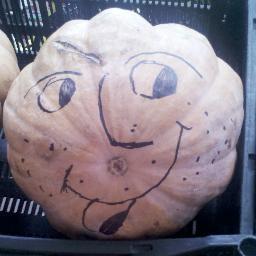 Canepeitor's profile picture. Nacido el 25 de diciembre en Jerusalén entre vacas, borregos y heno; destinado a ser el mesías de la humanidad... okno :v