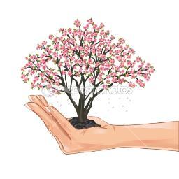 I am a Holistic Therapist: Massage, Reflexology & Aromatherapy- 07895161020