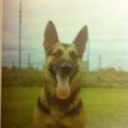 Don Williamson - @dbwtoo - Twitter