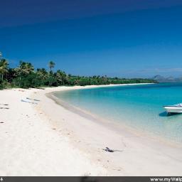 mendozagloria's profile picture. 