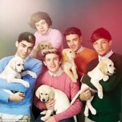 I love One Direction! They are Super talented and they are my favorite band.They are my life! I am a proud directioner! Also, I am VERY proud of the boys.