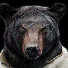 vladzvor's profile picture. ну тут все ясно понятно.