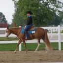 Lauren M. Lucas - @WilsonHillOhio - Twitter