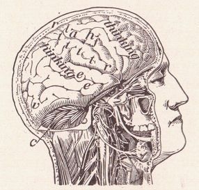 b_e_m_a's profile picture. programming, hacktivism, philosophy