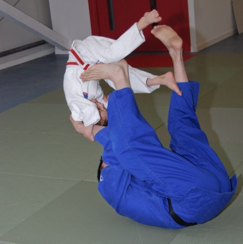 Ju-Jitsu, Judo and MMA fanatic