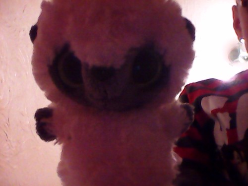 boomerjay66's profile picture. 