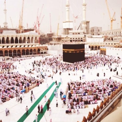 HmsatMnNoor's profile picture. 