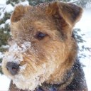 Lucien Lee - @luiskeniosis - Twitter