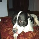 Lori meade - @Snoopy1330 - Twitter